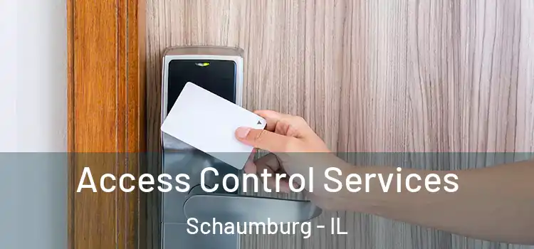  Access Control Services Schaumburg - IL