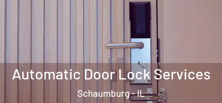  Automatic Door Lock Services Schaumburg - IL