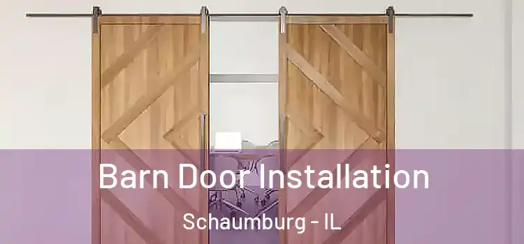  Barn Door Installation Schaumburg - IL
