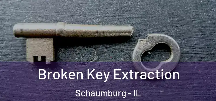  Broken Key Extraction Schaumburg - IL