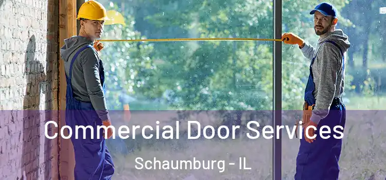 Commercial Door Services Schaumburg - IL