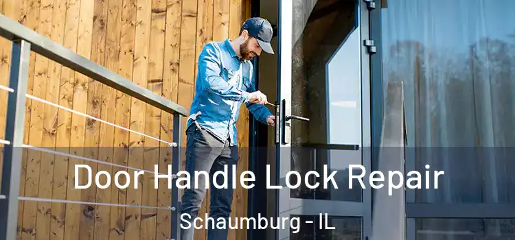  Door Handle Lock Repair Schaumburg - IL