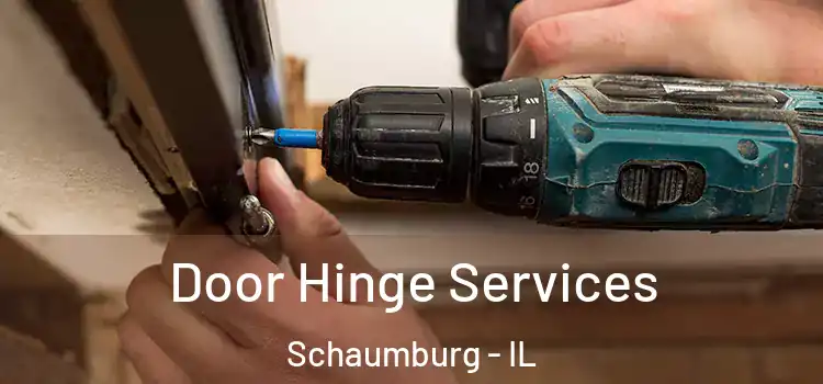 Door Hinge Services Schaumburg - IL