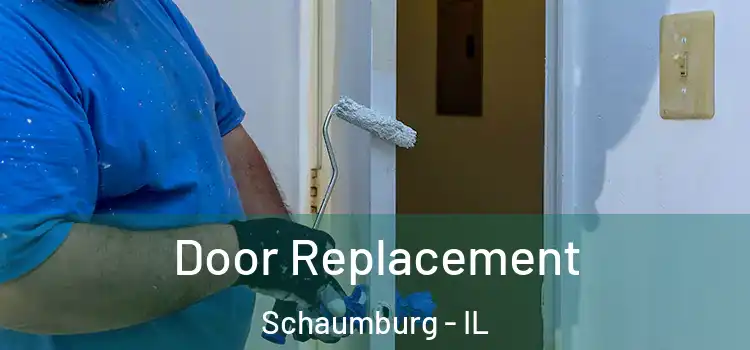  Door Replacement Schaumburg - IL