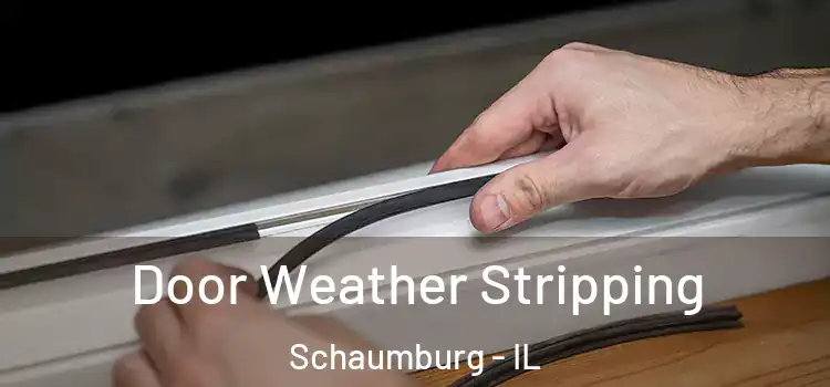 Door Weather Stripping Schaumburg - IL