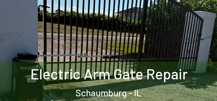  Electric Arm Gate Repair Schaumburg - IL