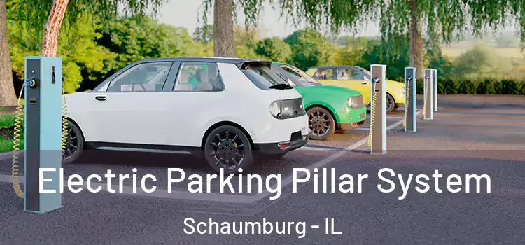 Electric Parking Pillar System Schaumburg - IL