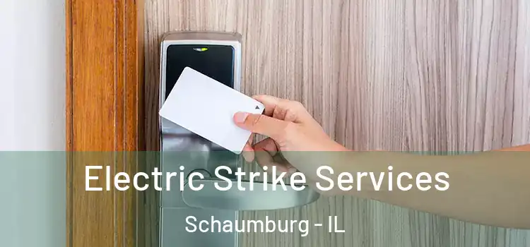  Electric Strike Services Schaumburg - IL