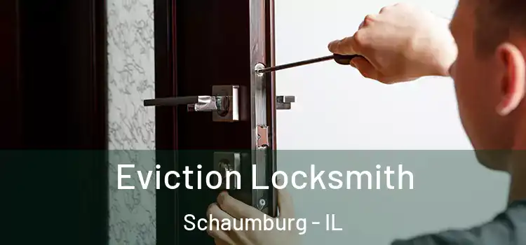  Eviction Locksmith Schaumburg - IL