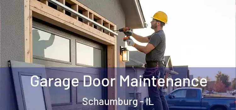 Garage Door Maintenance Schaumburg - IL