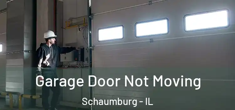  Garage Door Not Moving Schaumburg - IL