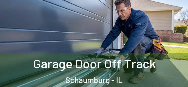  Garage Door Off Track Schaumburg - IL