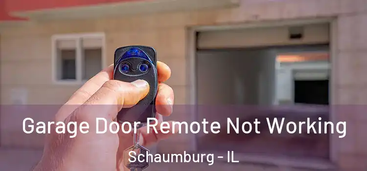  Garage Door Remote Not Working Schaumburg - IL
