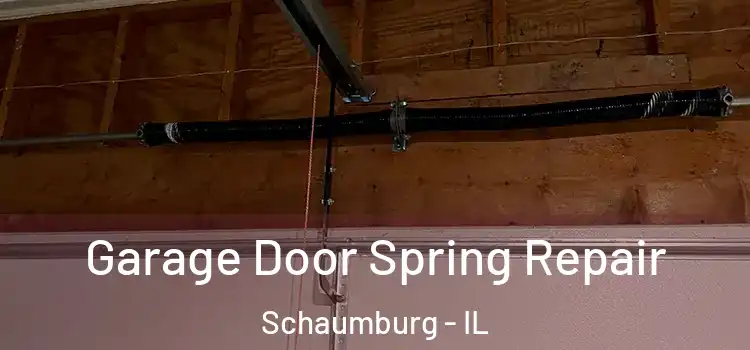  Garage Door Spring Repair Schaumburg - IL