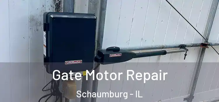 Gate Motor Repair Schaumburg - IL