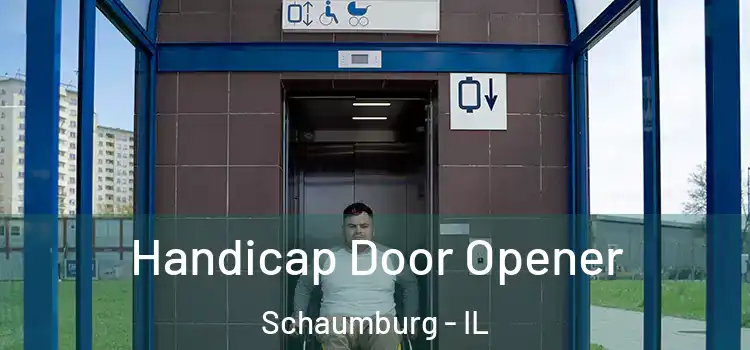  Handicap Door Opener Schaumburg - IL