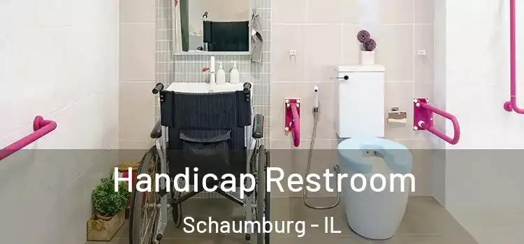 Handicap Restroom Schaumburg - IL