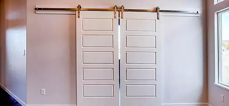 Glass Barn Door with Installation Hardware Kit Schaumburg