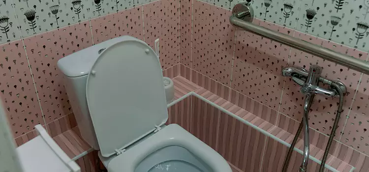 Meeting Diverse Needs With Accessible Restroom Solutions in Schaumburg, IL