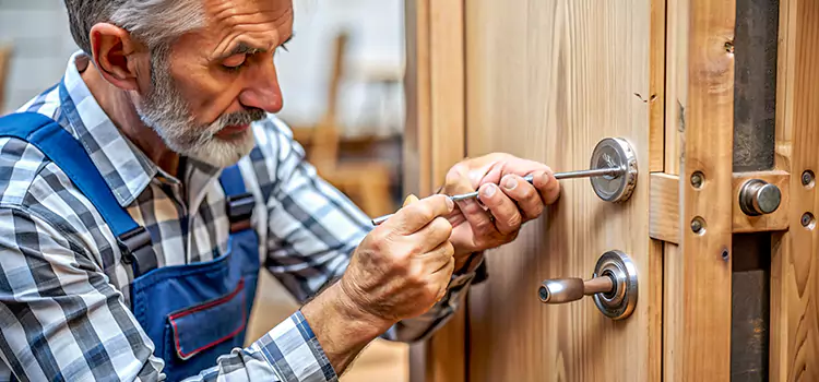 Mortise Replacement Lock Schaumburg