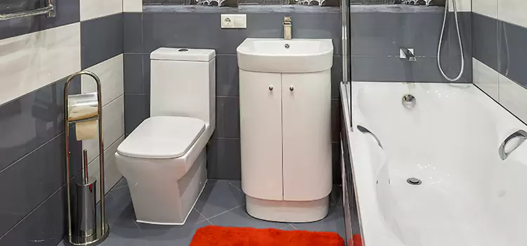 Hansgrohe Shaving Mirror Schaumburg