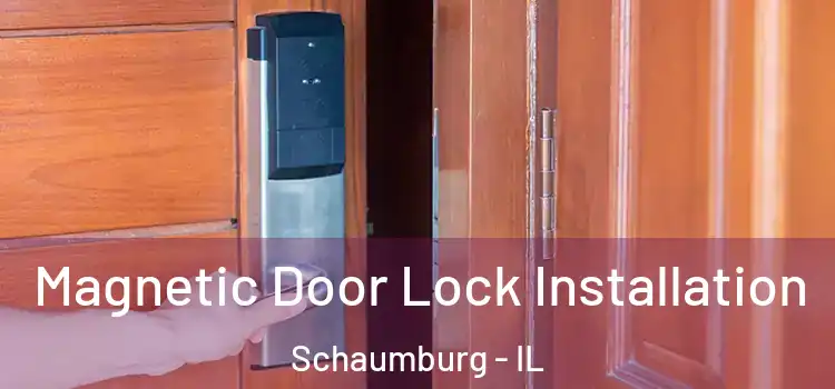  Magnetic Door Lock Installation Schaumburg - IL