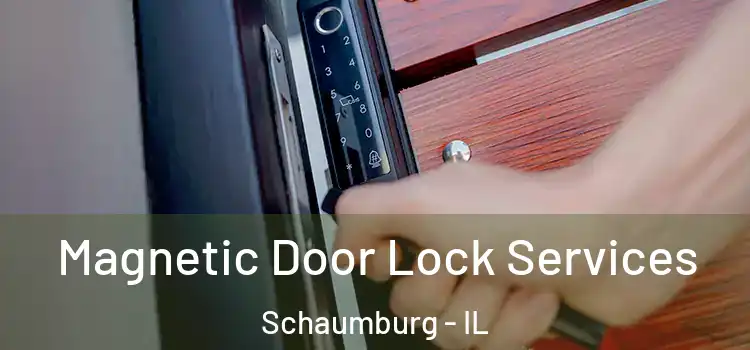 Magnetic Door Lock Services Schaumburg - IL
