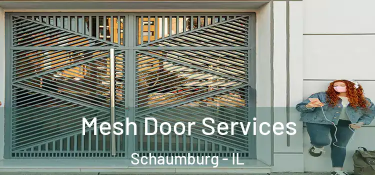  Mesh Door Services Schaumburg - IL