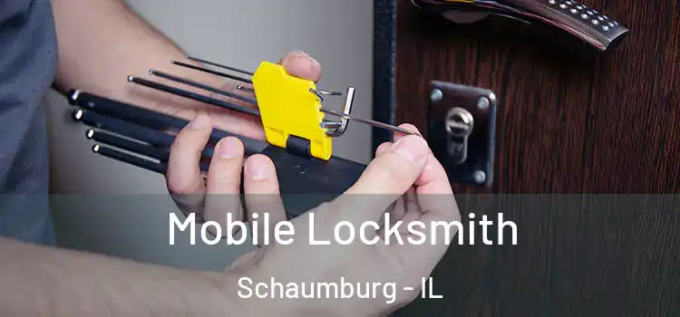  Mobile Locksmith Schaumburg - IL