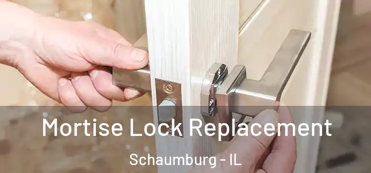  Mortise Lock Replacement Schaumburg - IL