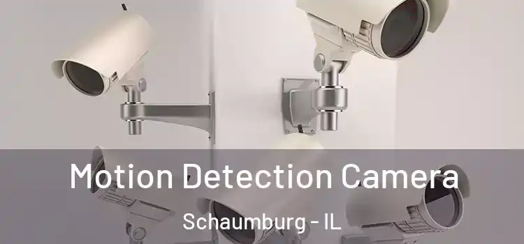  Motion Detection Camera Schaumburg - IL