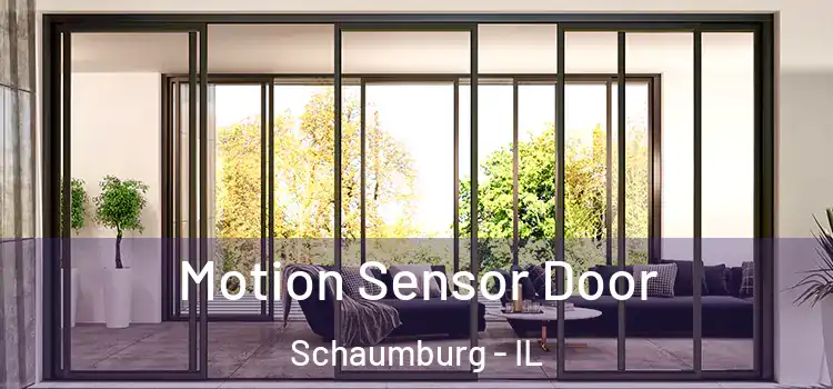  Motion Sensor Door Schaumburg - IL