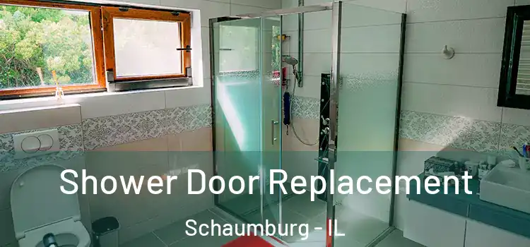  Shower Door Replacement Schaumburg - IL