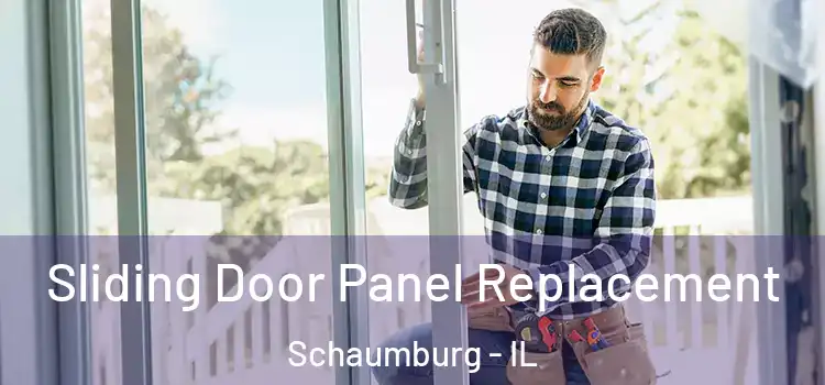  Sliding Door Panel Replacement Schaumburg - IL