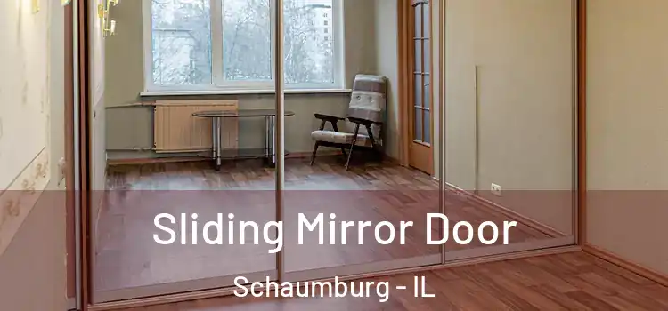  Sliding Mirror Door Schaumburg - IL