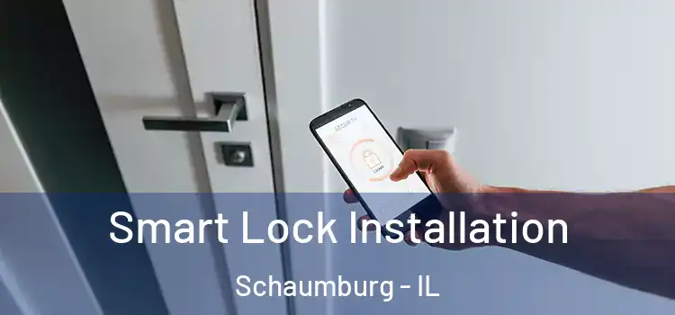 Smart Lock Installation Schaumburg - IL